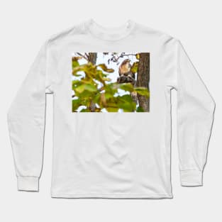 Red Tailed Hawk with squirrel in tree ideal wildlife lovers Long Sleeve T-Shirt